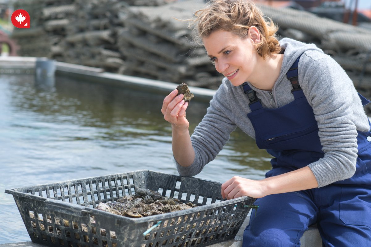 How to Migrate to Canada as a Fisherman CanadianVisa